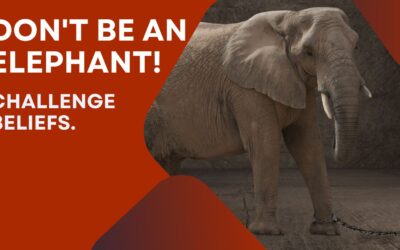 Don’t be an elephant!